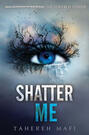 shatter me (tahereh mafi)